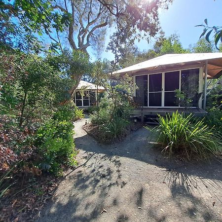 Castaways Moreton Island Bulwer Bagian luar foto