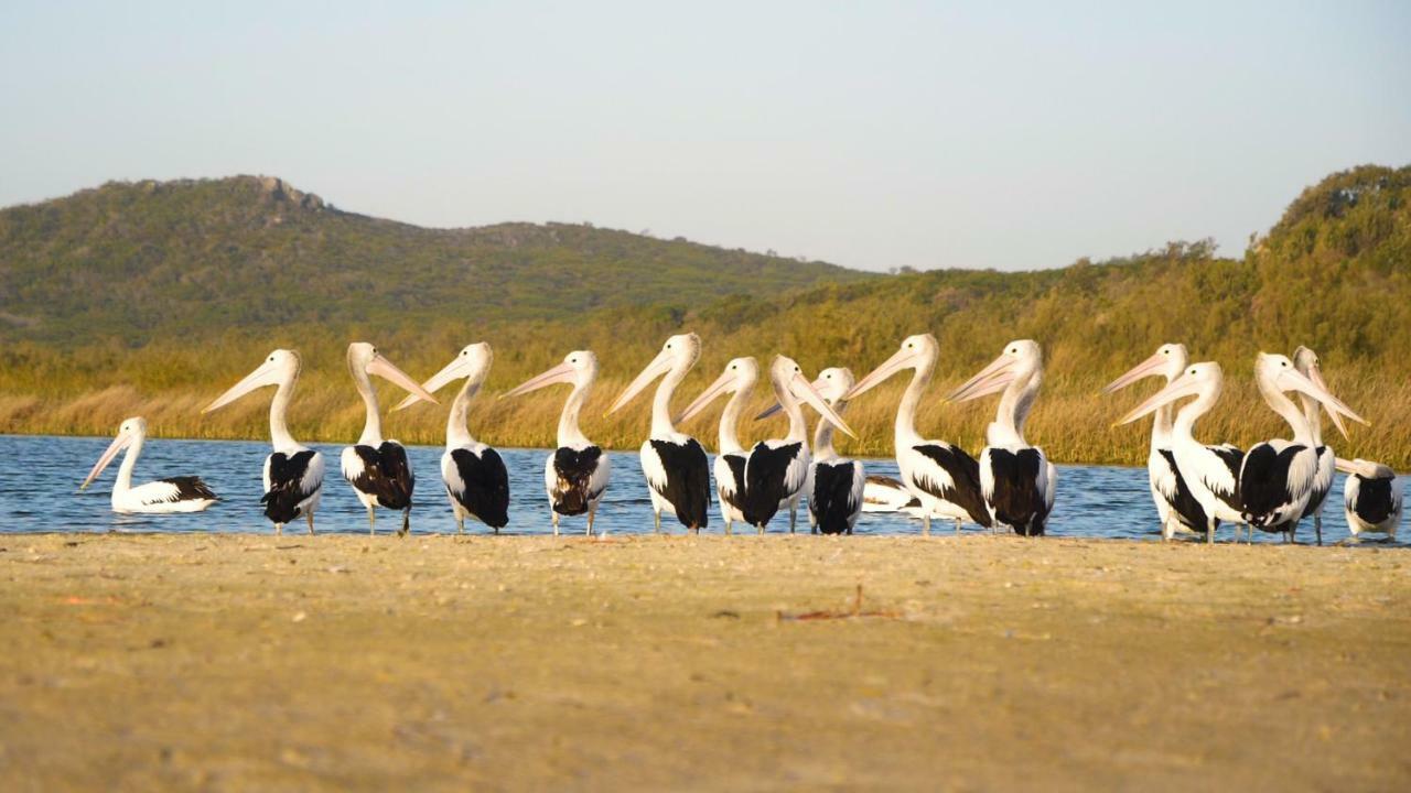 Castaways Moreton Island Bulwer Bagian luar foto